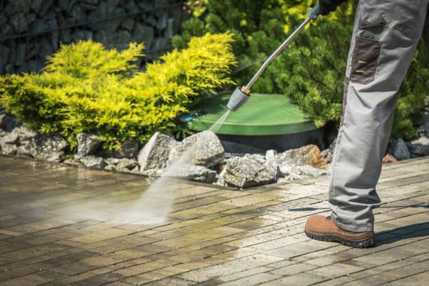 Animal Enclosure Cleaning in Walton Hills, OH